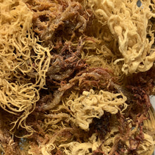 Load image into Gallery viewer, Organic Raw Wild Craft Sea Moss